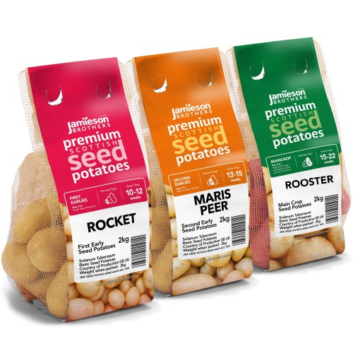 6kg Seed Potato Bundle (Rocket, Maris Peer & Rooster) Easy to Grow & High Yielding Varieties Perfect for All Uses