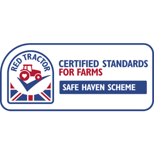 Pentland Crown Seed Potatoes