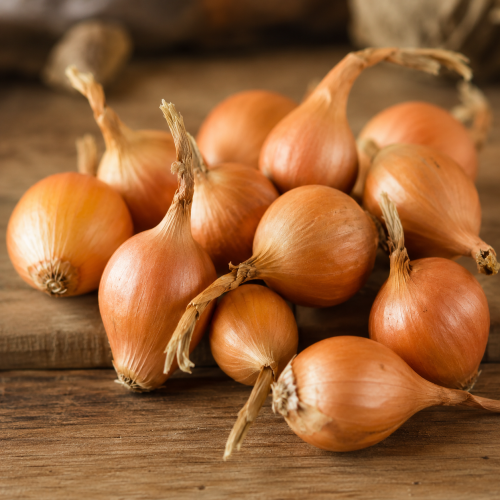 Golden Gourmet Shallot 250g Autumn Planting Shallot Sets