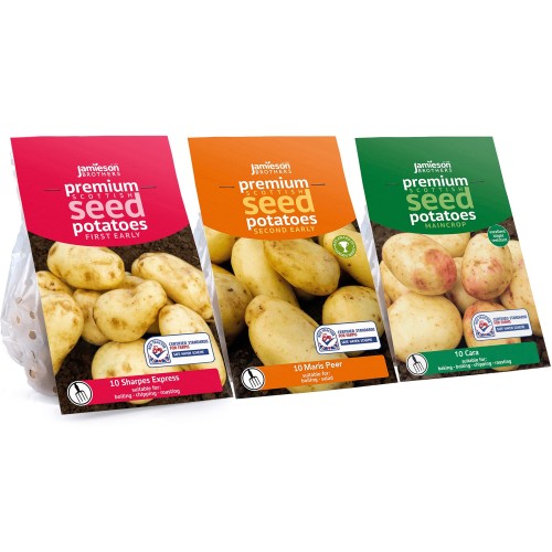 3x10 Tuber Bundle Sharpes Express, Maris Peer & Cara Seed Potatoes 
