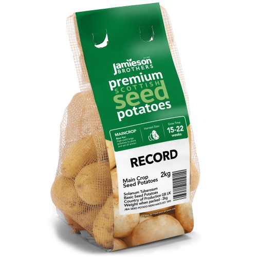 Record Seed Potatoes - 2KG
