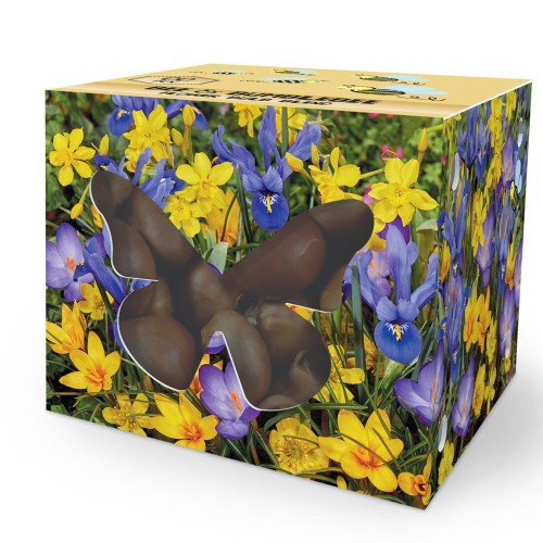 Bee & Butterfly Honey Heaven 50 Bulbs Ready for Planting Now in UK Autumn Outdoor Gardens