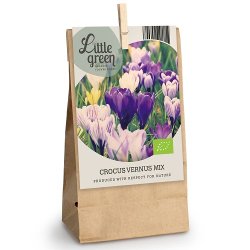 Crocus Vernus Mix 15 Bulbs Ready for Planting Now in UK Autumn Outdoor Gardens