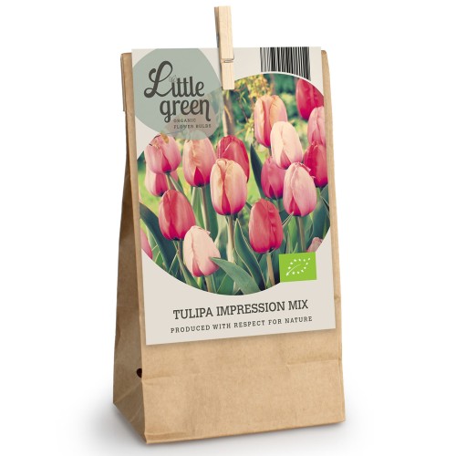 Tulip Impression Mix 8 Bulbs Ready for Planting Now in UK Autumn Outdoor Gardens