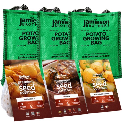 3x 3-Tuber Bundle Summer Planting Christmas Harvest Seed Potatoes Pentland Javelin, Wilja & Charlotte + 3 Planter Grow Bags