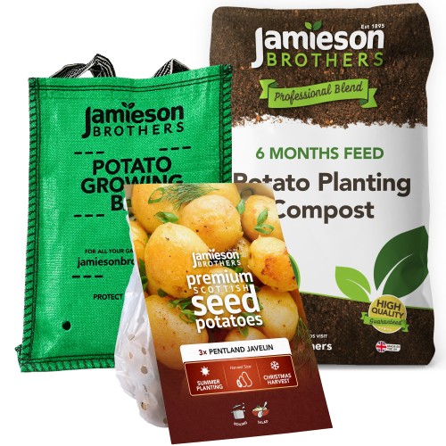 Pentland Javelin Summer Planting Seed Potato Kit, Christmas Harvest - 3 Tubers, 60L Potato Compost & Planter Bag by Jamieson Brothers