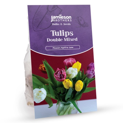 Double Mixed Tulip Bulbs (12 bulbs) by Jamieson Brothers 