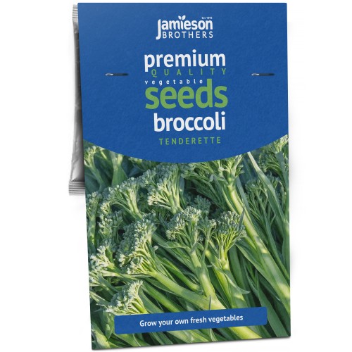 Sprouting Broccoli Tenderette Vegetable Seeds (Approx. 155 seeds) by Jamieson Brothers