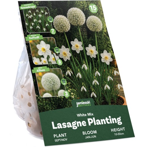 White Spring Flowering Lasagne Bulb Planting Kit - Layered Perennial Flower Bulbs for Garden Pots & Containers, Mixed Snowdrops, Daffodils & Alliums – by Jamieson Brothers