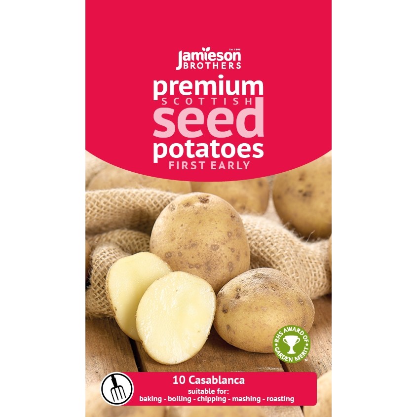 Jamieson Brothers 10 Tuber Foremost Seed Potatoes Gardens & Allotments For Baking Scottish-Grown & Ready to Plant at Home in Pots Salads & Boiling JBA First Early Grow Your Own Spuds 