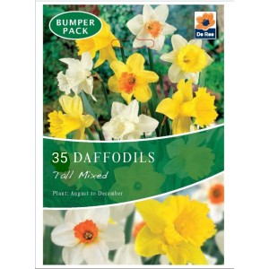 De Ree Daffodil Bulbs Tall Mixed (35 Bulbs)