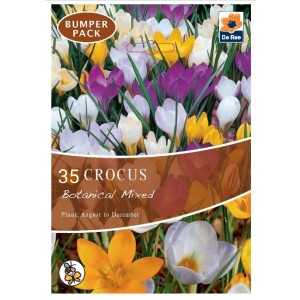 De Ree Crocus Bulbs Botanical Mixed (35 Bulbs)