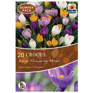 Crocus Bulbs Large Flowering Mixed (20 Bulbs)