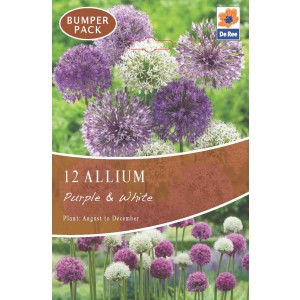 De Ree Allium Bulbs Purple & White (12Bulbs)