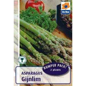 De Ree Asparagus Crown Plant - Gijnlim 2 Plants