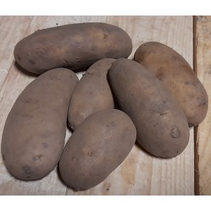 Belle De Fontenay Seed Potatoes
