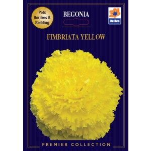 De Ree Begonia Fimbriata Yellow (2 bulbs)