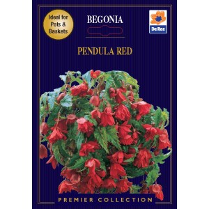 De Ree Begonia Pendula Red (2 bulbs)