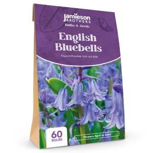 Jamieson Brothers® English Bluebells 60 pack