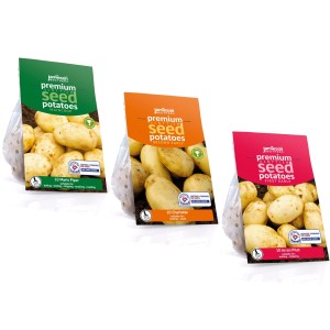 Seed Potatoes 10 Tuber Pack 