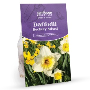 Rockery Mixed Daffodil Bulbs (100 bulbs) - Dwarf Daffodils by Jamieson Brothers®