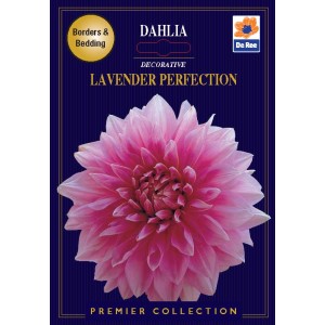 De Ree Dahlia Decorative Lavender Perfection (2 bulbs)