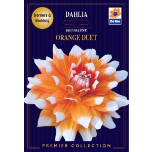 De Ree Dahlia Decorative Orange Duet (2 bulbs)