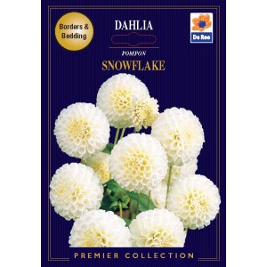 De Ree Dahlia Pompom Snowflake (2 bulbs)