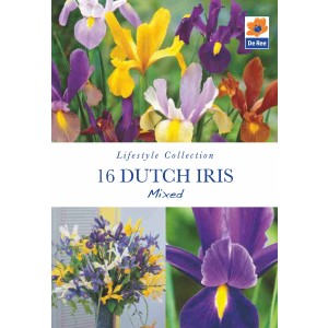 De Ree Iris Dutch Mixed (16 Bulbs)