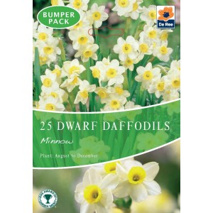 De Ree Dwarf Daffodil Bulbs Minnow (25 Bulbs)