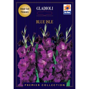 De Ree Gladioli Blue Isle (10 bulbs)