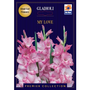 De Ree Gladioli My Love (10 bulbs)