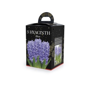 De Ree Hyacinth Bulbs Blue - Boxed Gift 3 Bulbs Size 15/16