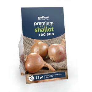 Jamieson Brothers® Red Sun Shallot Sets - 12 pack