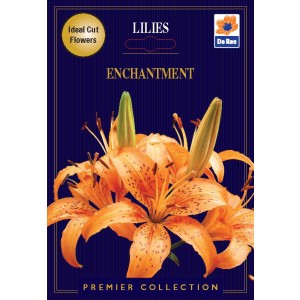 De Ree Lillies Enchantment (2 bulbs)