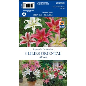 Lilies Oriental Mixed