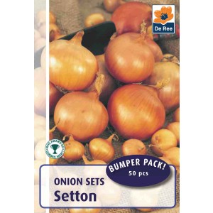 De Ree Onion Sets Setton- 50 sets