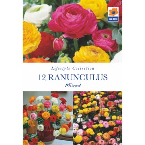 De Ree Ranunculus Mixed (12 Bulbs)