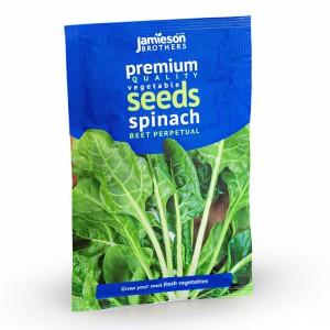 Spinach Beet Perpetual Vegetable Seeds (Approx. 135 seeds) by Jamieson Brothers®