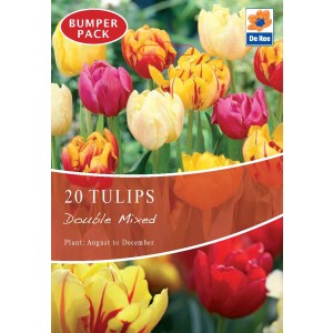 De Ree Tulip Bulbs Double Mixed (20 Bulbs)