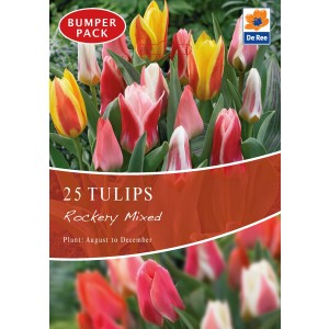 De Ree Tulip Bulbs Rockery Mixed (25 Bulbs)