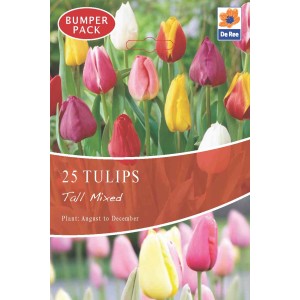 De Ree Tulip Bulbs Tall Mixed (25 Bulbs)