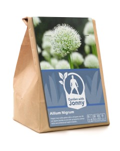 Garden With Jonny Allium Nigrum 5 Bulbs Autumn Planting