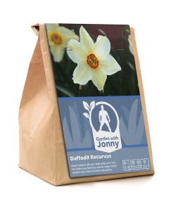 Garden With Jonny Daffodil Recurvus (Pheasants Eye) 5 Bulbs
