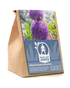Garden With Jonny Allium Purple Sensation  Bulbs