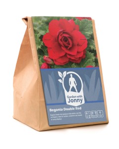 Begonia double red (3 Bulbs)