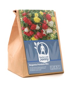 Begonia Pendula Mix (3 Bulbs)