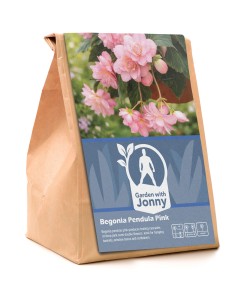 Begonia pendula pink (2 Bulbs)