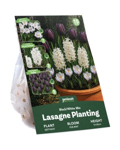 Black/White Spring Flowering Lasagne Bulb Planting Kit - Layered Perennial Flower Bulbs for Garden Pots & Containers, Mixed Tulips, Crocus & Hyacinths – by Jamieson Brothers