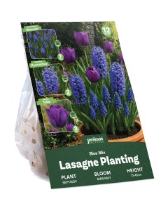 Blue Spring Flowering Lasagne Bulb Planting Kit - Layered Perennial Flower Bulbs for Garden Pots & Containers, Mixed Tulips, Muscari & Hyacinths – by Jamieson Brothers